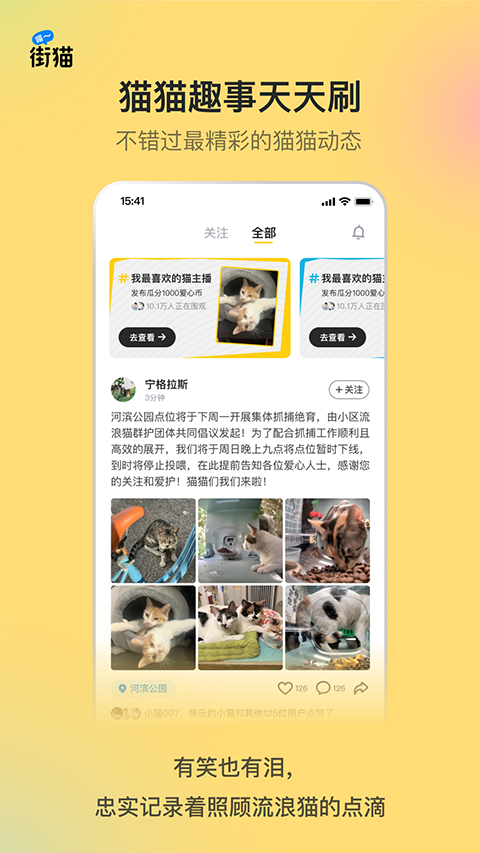 哈啰街猫app