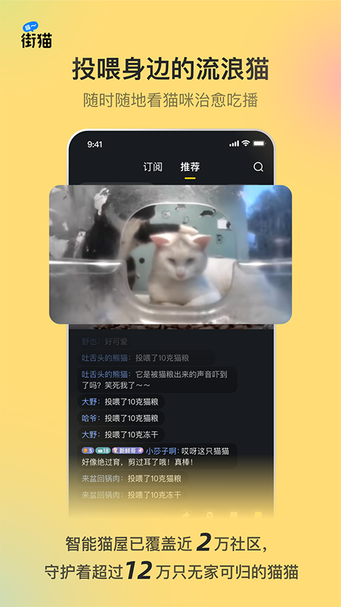 哈啰街猫app